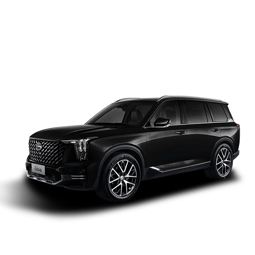 ALL-NEW GS8 1-3-25 dai dien san pham den