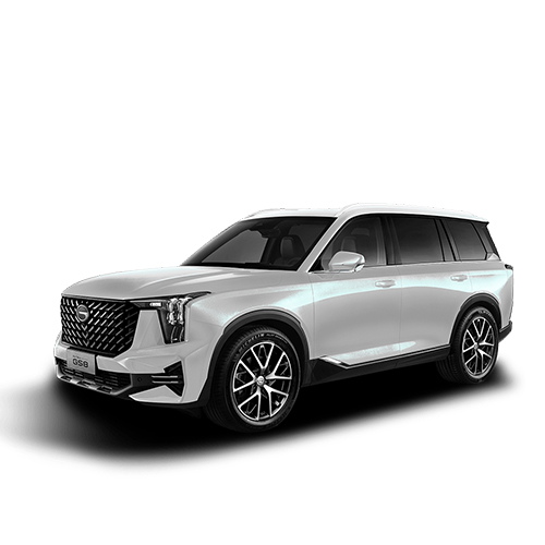 ALL-NEW GS8 1-3-25 dai dien san pham trang